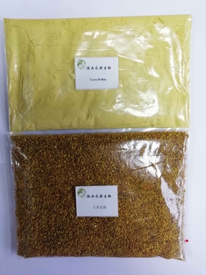 從田野到藥典 玉米花粉、破壁玉米花粉與高粱花粉的植物提取物研發(fā)新視角