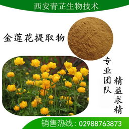 金蓮花提取物的市場(chǎng)價(jià)格與研發(fā)趨勢(shì)分析