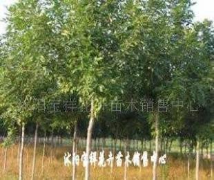 供應(yīng)電線電纜填充用高檔麻線_紡織、皮革_世界工廠網(wǎng)中國產(chǎn)品信息庫