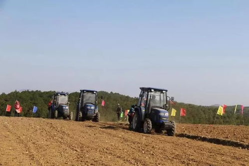 精品苗培育幾大缺點(diǎn),你中招了嗎